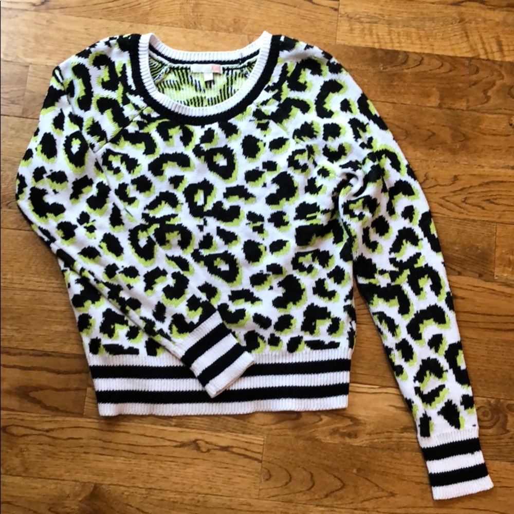Spring Leopard Print Sweater Gianni Bini